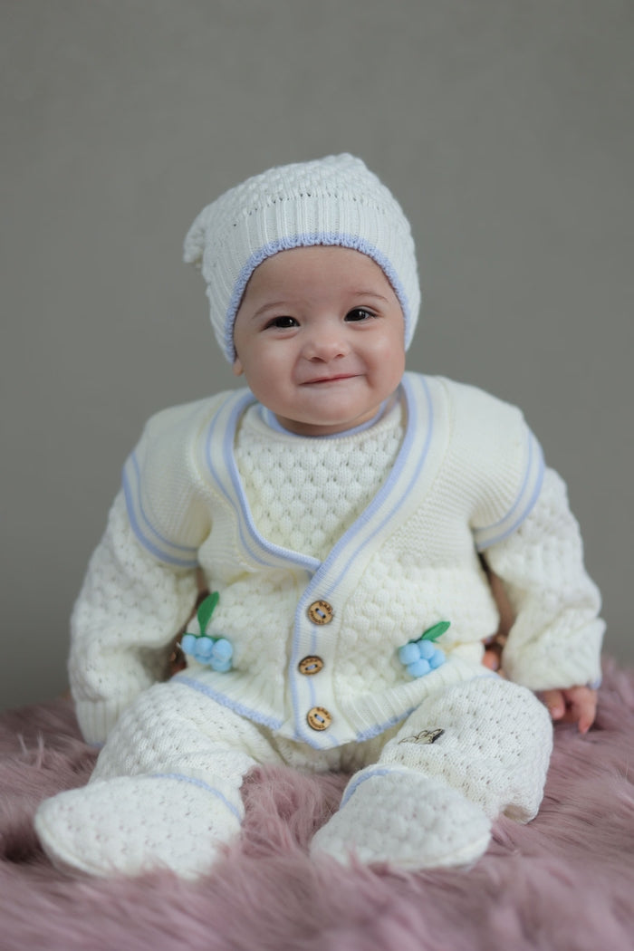 Blueberry Vine Set