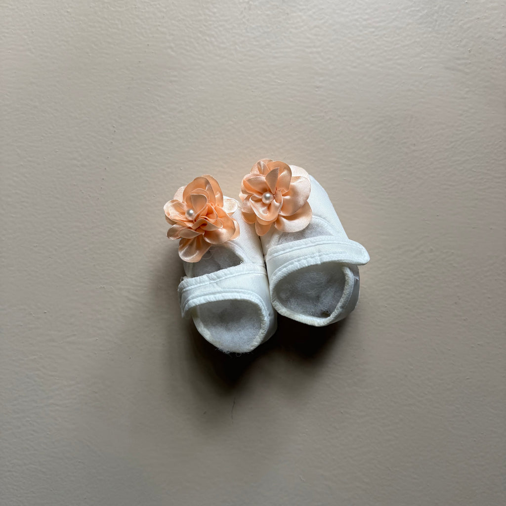 Ivory Blossom Frock Set