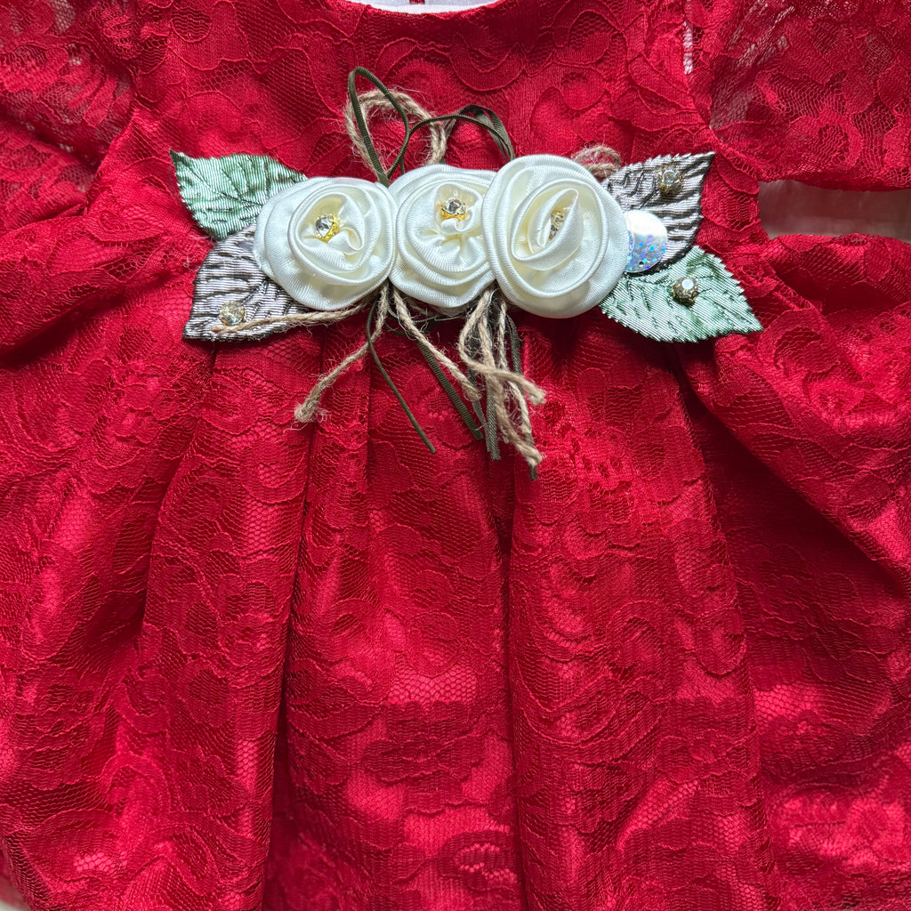 Ruby Rose Lace Frock Set