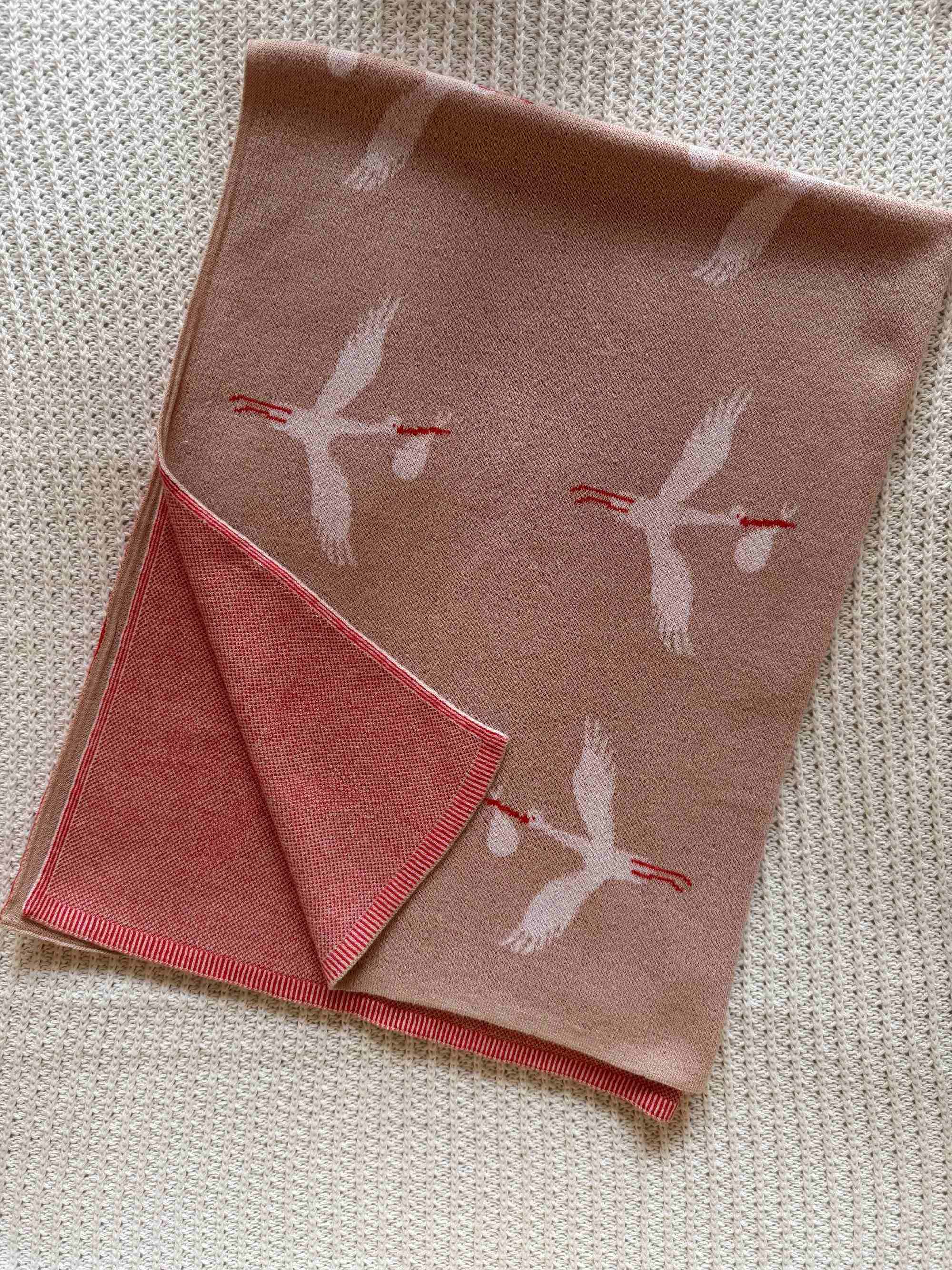Stork Blessings Reversible Baby Blanket