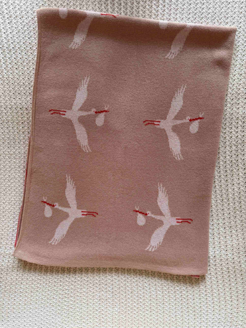Stork Blessings Reversible Baby Blanket